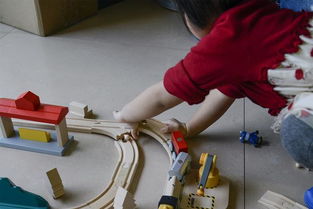 玩出孩子独立思维大脑 米兔轨道积木电动火车套装分享